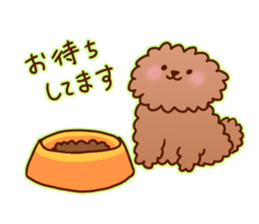 sweet toy poodle sticker #13015682