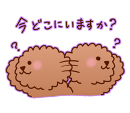 sweet toy poodle sticker #13015683