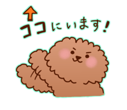 sweet toy poodle sticker #13015684