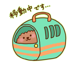 sweet toy poodle sticker #13015686