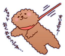 sweet toy poodle sticker #13015687