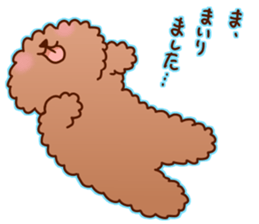 sweet toy poodle sticker #13015690