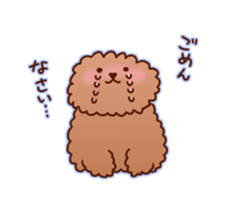 sweet toy poodle sticker #13015691