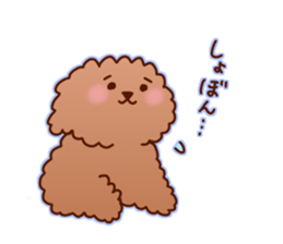 sweet toy poodle sticker #13015692
