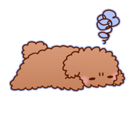 sweet toy poodle sticker #13015693