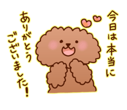 sweet toy poodle sticker #13015698