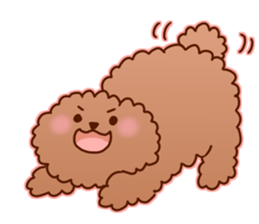 sweet toy poodle sticker #13015700