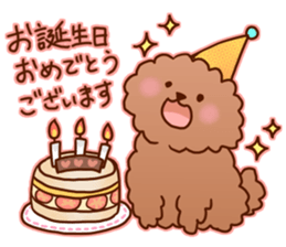 sweet toy poodle sticker #13015701