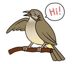 Streak-eared bulbul bird sticker #13016806