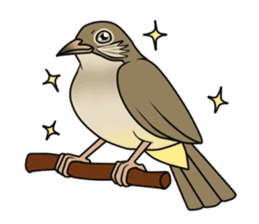 Streak-eared bulbul bird sticker #13016808