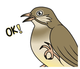 Streak-eared bulbul bird sticker #13016813