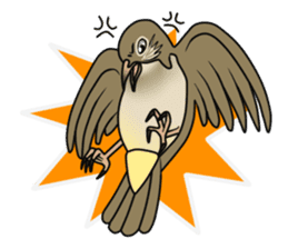 Streak-eared bulbul bird sticker #13016818