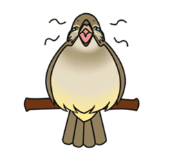 Streak-eared bulbul bird sticker #13016819