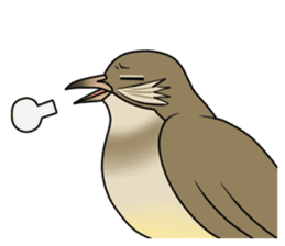 Streak-eared bulbul bird sticker #13016821