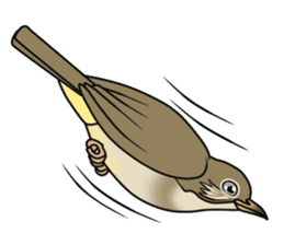 Streak-eared bulbul bird sticker #13016823