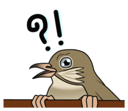 Streak-eared bulbul bird sticker #13016824