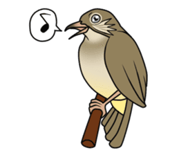 Streak-eared bulbul bird sticker #13016826
