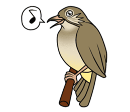 Streak-eared bulbul bird sticker #13016826