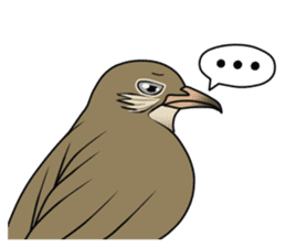 Streak-eared bulbul bird sticker #13016828