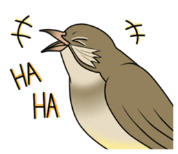 Streak-eared bulbul bird sticker #13016830