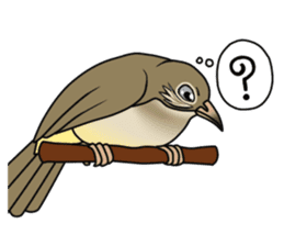 Streak-eared bulbul bird sticker #13016832