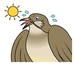 Streak-eared bulbul bird sticker #13016833