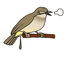 Streak-eared bulbul bird sticker #13016835