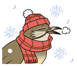 Streak-eared bulbul bird sticker #13016836