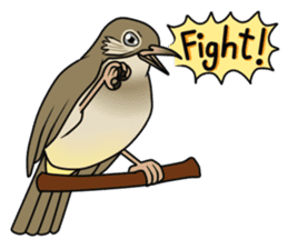Streak-eared bulbul bird sticker #13016839