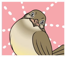 Streak-eared bulbul bird sticker #13016841