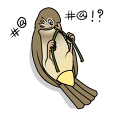 Streak-eared bulbul bird sticker #13016842