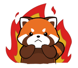 Kurimo: Red Panda (Lesser Panda) sticker #13016990