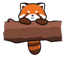Kurimo: Red Panda (Lesser Panda) sticker #13017000
