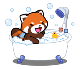 Kurimo: Red Panda (Lesser Panda) sticker #13017002
