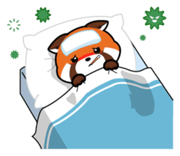 Kurimo: Red Panda (Lesser Panda) sticker #13017004