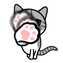 Little cotton candy cat sticker #13018241
