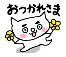 Cat of eyebrows sticker #13019767