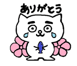 Cat of eyebrows sticker #13019768