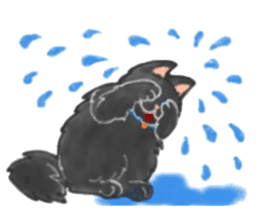 Cute two cats. sticker #13020002