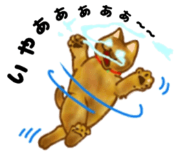 Cute two cats. sticker #13020015