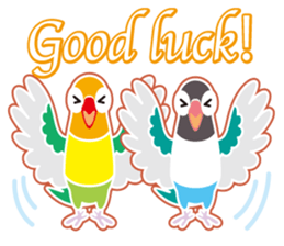 Lovebird of a condition eyed21 sticker #13020333