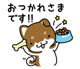 Cha-Shiba Inu sticker #13020679