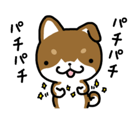 Cha-Shiba Inu sticker #13020681