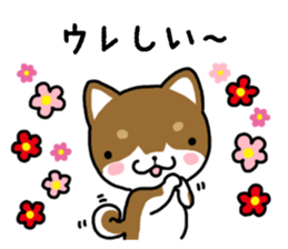 Cha-Shiba Inu sticker #13020684