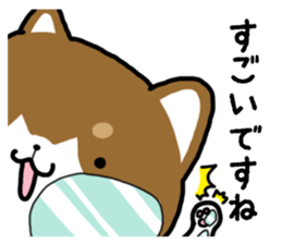 Cha-Shiba Inu sticker #13020685
