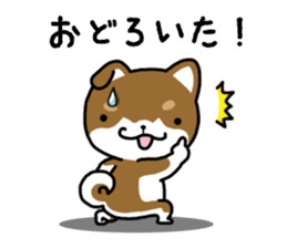 Cha-Shiba Inu sticker #13020690