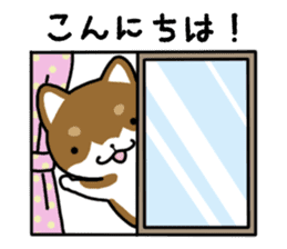 Cha-Shiba Inu sticker #13020691