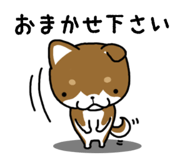 Cha-Shiba Inu sticker #13020692