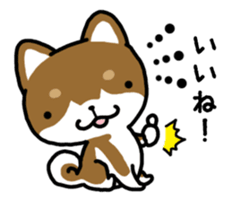 Cha-Shiba Inu sticker #13020694