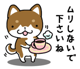 Cha-Shiba Inu sticker #13020696